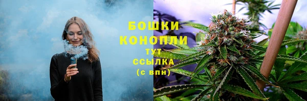 сатива Навашино