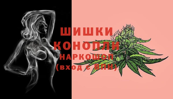 дурь Надым