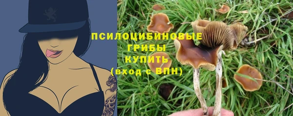 дурь Надым