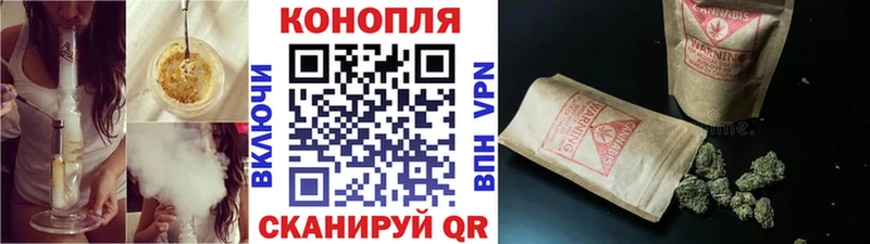закладки  Камешково  omg рабочий сайт  Бошки Шишки Amnesia 